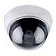 Caméras de surveillance