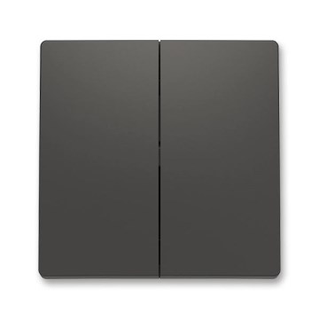 ABB 3559T-A00652 237 - Plaque de finition pour interrupteur divisée ZONI noir mat