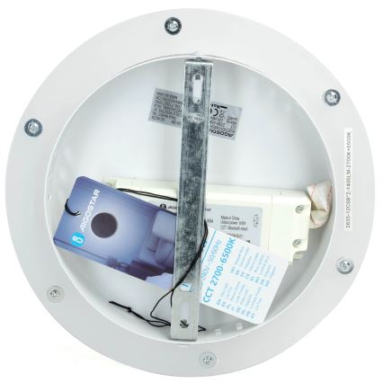 Aigostar - Applique murale à intensité variable MESH Connecté LED/12W/230V 2700-6500K blanc