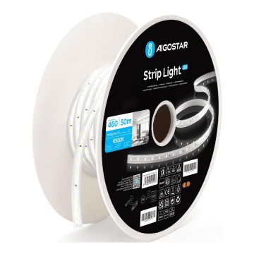 Aigostar - Bande LED LED/250W/230V 50m 6500K IP65