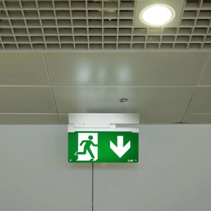 Aigostar - Bloc de secours EMERGENCY EXIT LED/3,6W/230V 6500K 500mAh