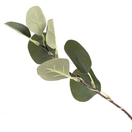 Aigostar - Décoration solaire 285xLED/3,8m IP65 blanc chaud eucalyptus