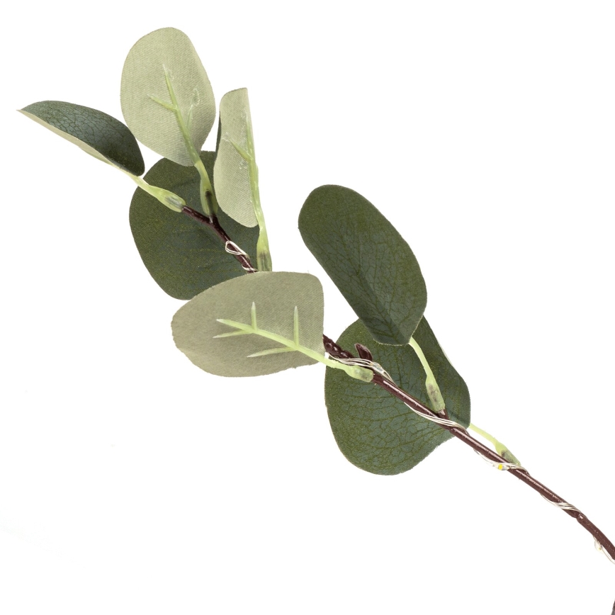Aigostar - Décoration solaire 30xLED/2,6m IP65 blanc chaud eucalyptus