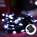 Aigostar - Guirlande de Noël extérieure 100xLED/8 fonctions 10,3m IP44 blanc froid