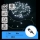 Aigostar - Guirlande lumineuse LED extérieure de Noël, 300 LED, 8 fonctions, 30 m, IP44, blanc froid