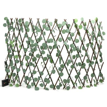 Aigostar - Guirlande solaire 102xLED/2x0,7m IP65 blanc chaud eucalyptus