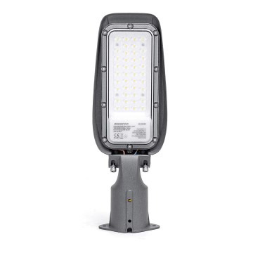 Aigostar - Lampadaire LED SLIM LED/30W/230V 6500K IP65
