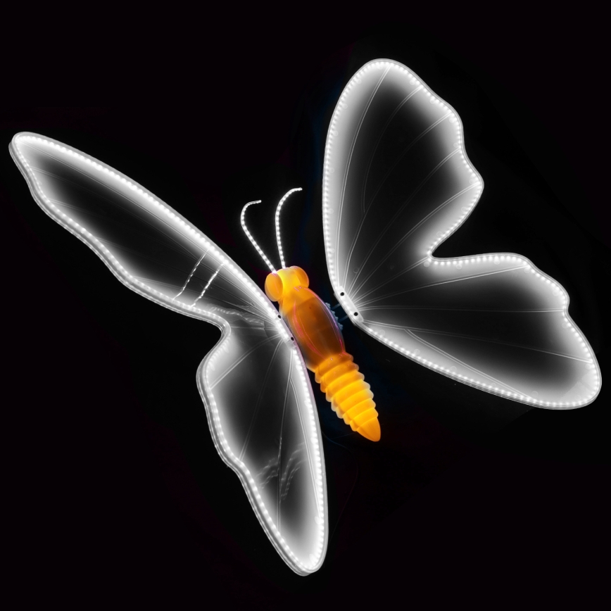 Aigostar - LED Décoration extérieure 468xLED/18W/230V 75 cm IP44 papillon/blanc froid