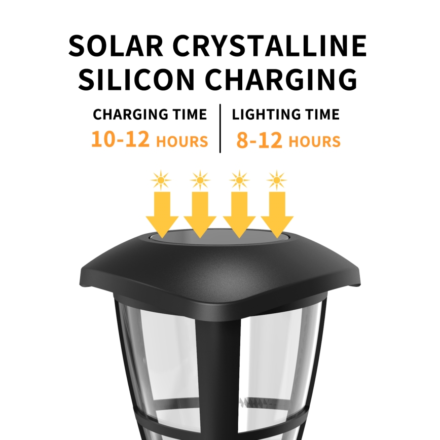 Aigostar - LOT DE 12 lampes solaires LED/0,06W/2V 33,8 cm 6500K 100 mAh IP44 noires