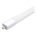 Aigostar - Luminaire industriel LED/18W/230V 6500K 60 cm IP65