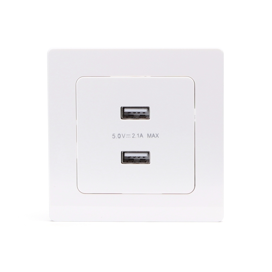 Aigostar - Prise d'alimentation USB avec cadre, 2 ports USB-A, blanche