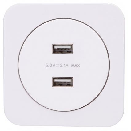 Aigostar - Prise d'alimentation USB avec cadre, 2x USB-A, blanche