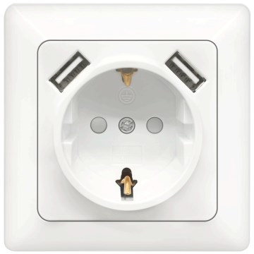 Aigostar - Prise murale SCHUKO 250V + 2x USB avec cadre, blanche