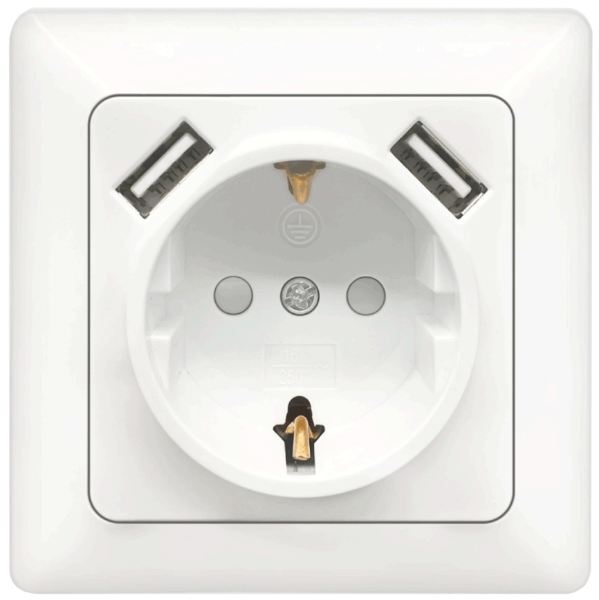 Aigostar - Prise murale SCHUKO 250V + 2x USB avec cadre, blanche