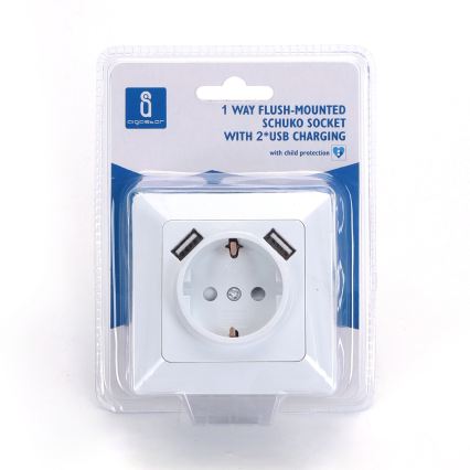 Aigostar - Prise murale SCHUKO 250V + 2x USB avec cadre, blanche