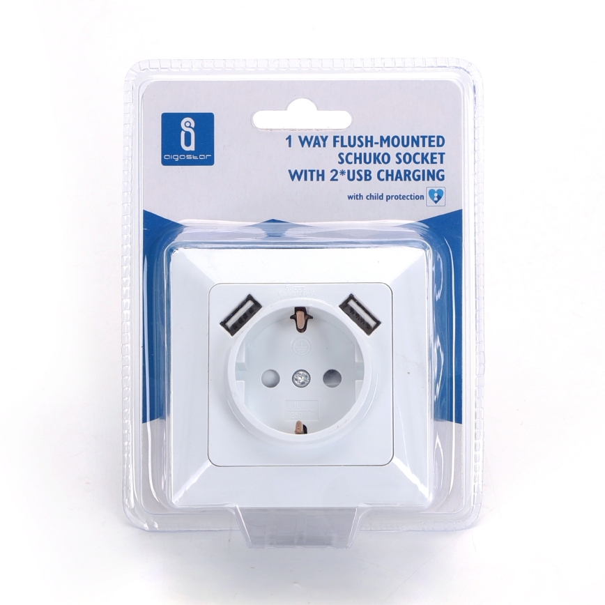 Aigostar - Prise murale SCHUKO 250V + 2x USB avec cadre, blanche