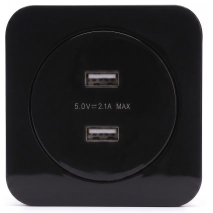 Aigostar - Prise USB murale avec plaque 2x USB-A, noire