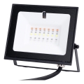 Aigostar - Projecteur LED RGB dimmable 10W 230V IP65 avec télécommande