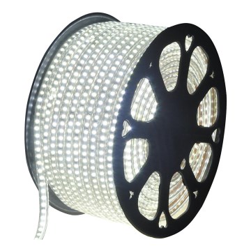 Aigostar - Ruban extérieur 50m LED/350W/230V 6500K IP65