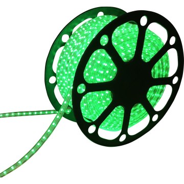 Aigostar - Ruban LED 50m LED/300W/230V IP65 vert