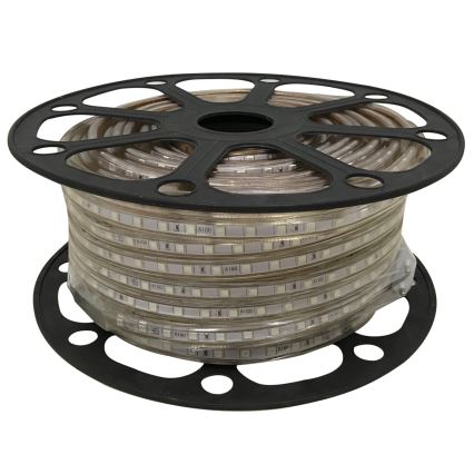 Aigostar - Ruban LED 50m LED/300W/230V IP65 vert