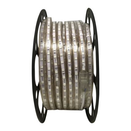 Aigostar - Ruban LED 50m LED/300W/230V IP65 vert