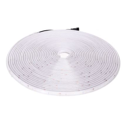 Aigostar - Ruban solaire à intensité variable LED/20W/3,2V 20 m 6500K IP65 + Télécommande