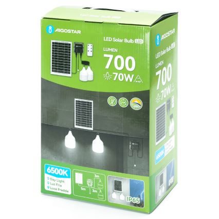 Aigostar - Suspension solaire 2xLED/35W/12V 6000 mAh 6500K d. 10 cm + Télécommande