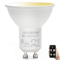 Ampoule à intensité variable LED GU10/6,5W/230V 2700-6500K - Aigostar