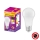 Ampoule antibactérienne LED A100 E27/13W/230V 2700K - Osram