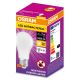 Ampoule antibactérienne LED A75 E27/10W/230V 2700K - Osram