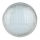 Ampoule de piscine LED/35W/12V IP68 6500K