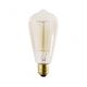 Ampoule  décorative à usage intensif à intensité variable SELEBY ST64 E27/40W/230V 2200K