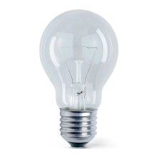 Ampoule industrielle E27/200W/230V