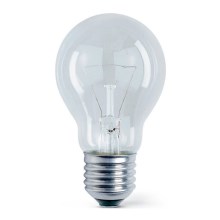 Ampoule industrielle E27/75W/230V