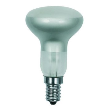 Ampoule industrielle pour projecteur R50/E14/40W matte