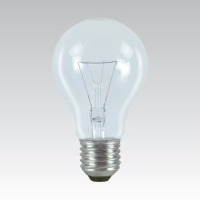 Ampoule industrielle spéciale E27/100W/24V