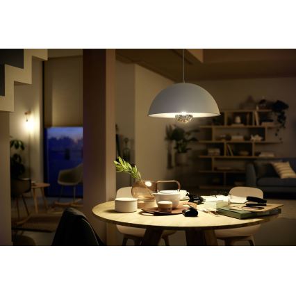 Ampoule LED à intensité variable avec une tête miroir sphérique MODERN Philips E27/8W/230V 2700K