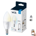 Ampoule LED à intensité variable C37 E14/4,9W/230V 2700-6500K CRI 90 Wi-Fi - WiZ