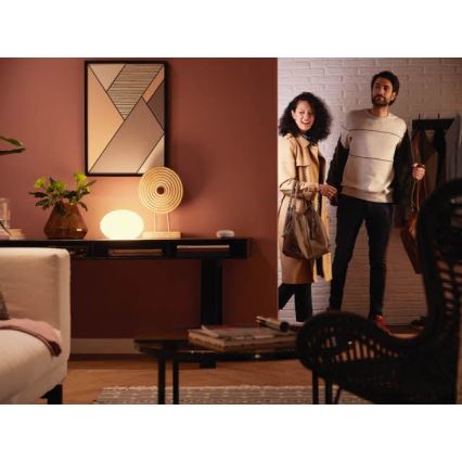 Ampoule LED à intensité modulable Philips HUE WHITE E27/9W/230V