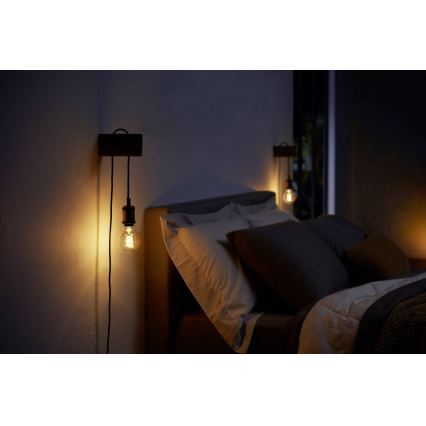 Ampoule LED à intensité modulable Philips HUE WHITE FILAMENT G93 E27/7W/230V
