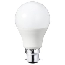 Ampoule LED A60 B22/8,5W/230V 2700K - Attralux