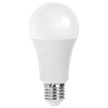Ampoule LED A60 E27/21W/230V 6500K - Aigostar