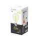 Ampoule LED A60 E27/6W/230V 2700-6500K Wi-Fi - Aigostar