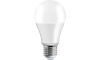 Ampoule LED A65 E27/15W/230V 4500K