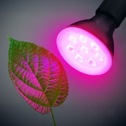 Ampoule LED pour croissance des plantes PLANTY E27/7W/230V 1200K noire