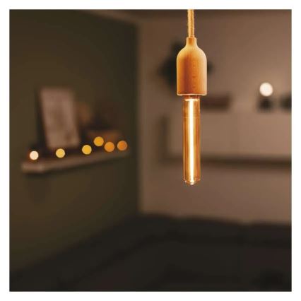 Ampoule LED DECO VINTAGE T30 E27/2W/230V 1800K