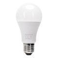 Ampoule LED dimmable A60 E27/12W/230V 6500K - Aigostar