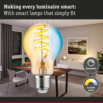 Ampoule LED dimmable FILAMENT E27/7,5W/230V 2200-5500K - Paulmann 29155