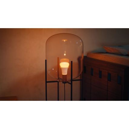 Ampoule LED dimmable Philips Hue WHITE AND COLOR AMBIANCE E27/8,1W/230V 1000-20000K